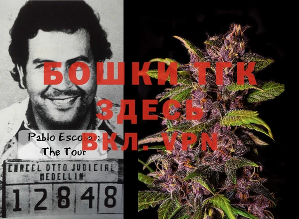 ешки Инсар