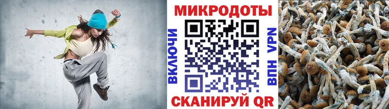 хочу   Яровое  Галлюциногенные грибы Magic Shrooms 